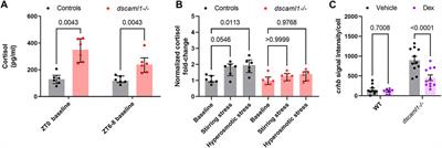 Deficiency in the cell-adhesion molecule dscaml1 impairs hypothalamic CRH neuron development and perturbs normal neuroendocrine stress axis function